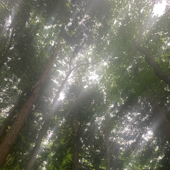 Meet your Posher, Madelyn - Picture 1 of 1